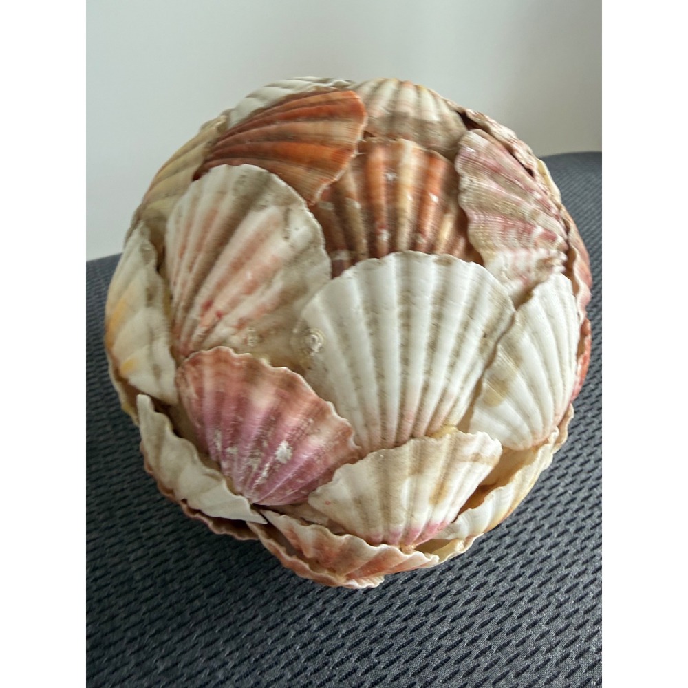 Handmade Natural Scallop Seashell Decorative Orb Sphere 6 in Coastal Beach Home - Picture 11 of 11